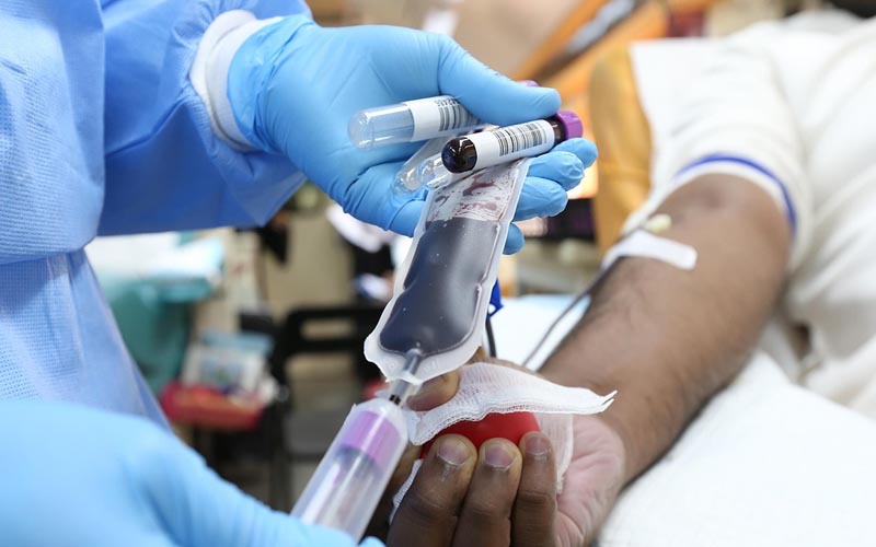 Foundation Healthcare Programme